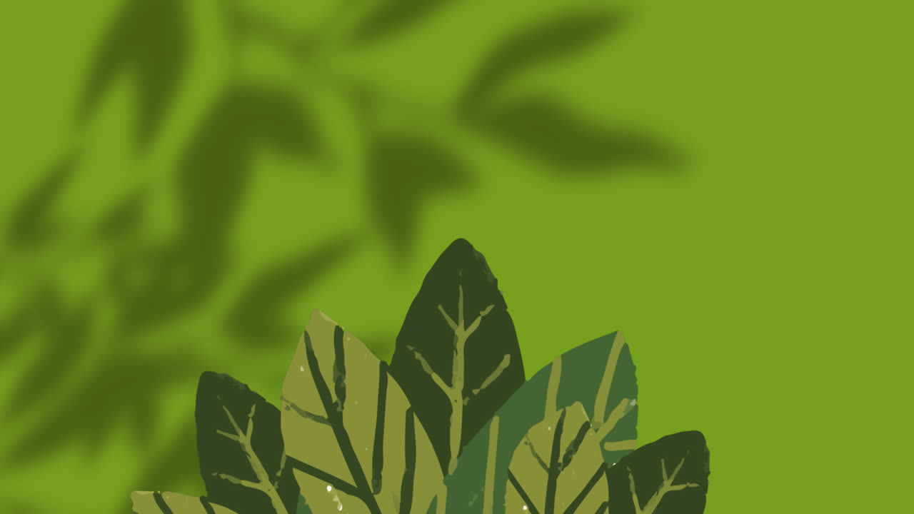 Animation of plants over leaves and window shadow on green background