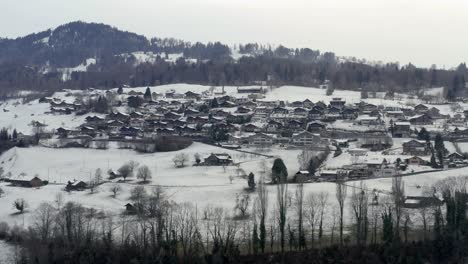 drone aerial of the lake thun thunersee in winter