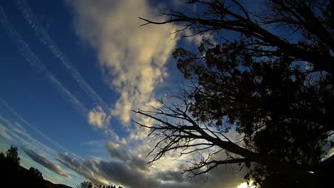 Este-Es-Un-Lapso-De-Tiempo-Del-Cielo-En-Arizona-Con-La-Silueta-De-Un-árbol