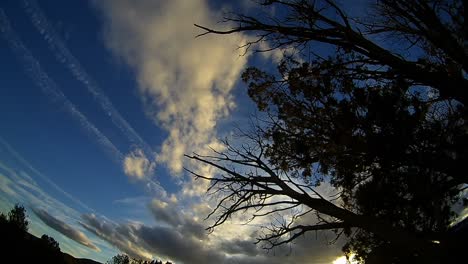 este es un lapso de tiempo del cielo en arizona con la silueta de un árbol