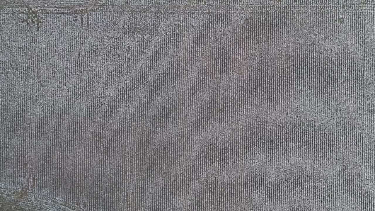 fotografía aérea de los campos de algodón en el sur de los estados unidos