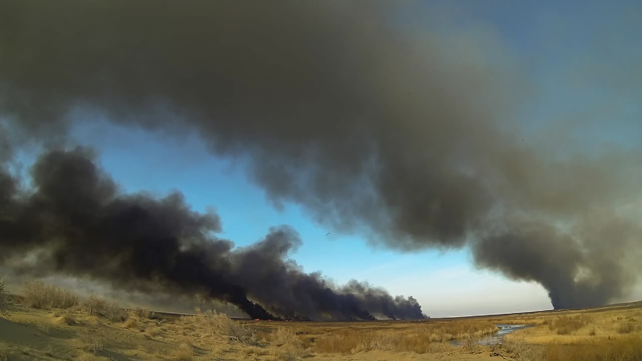 el concepto de incendio provocado en la naturaleza.