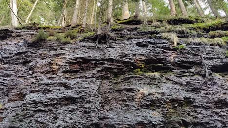 Wasser-Tropft-über-Zerbrochenes,-überwuchertes-Gestein