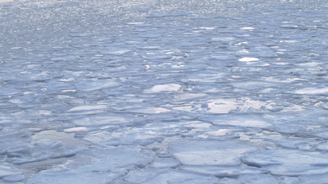 북극 노르웨이, 바다 표면에 떠 있는 녹는 얼음의 큰 조각, 오랜 시간 동안 아름다운 자연 영상