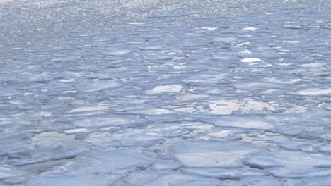 Arktisches-Norwegen,-Große-Stücke-Schmelzenden-Eises,-Die-Auf-Einer-Meeresoberfläche-Schwimmen,-Schöne-Naturaufnahmen-Von-Langer-Dauer