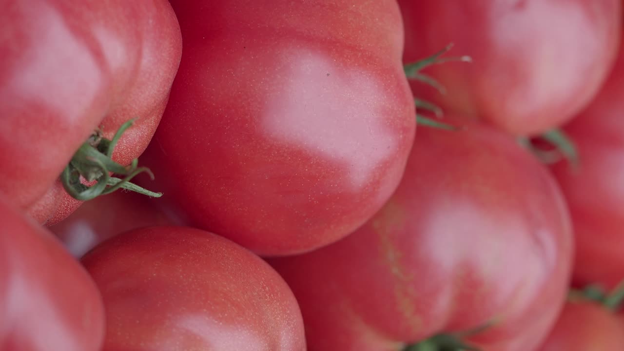 Close-up of a Pile of Red Tomatoes
