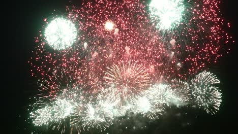 espectáculo de fuegos artificiales por la noche sobre un fondo negro.