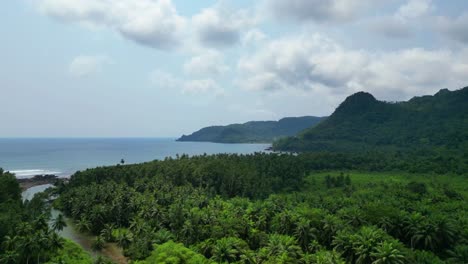 aerial view from rio caué a watercourse  it runs east until it meets the sea at the praia grande, a paradisiacal beach at background.the place is  surrounded by a tropical forest in são tomé,africa