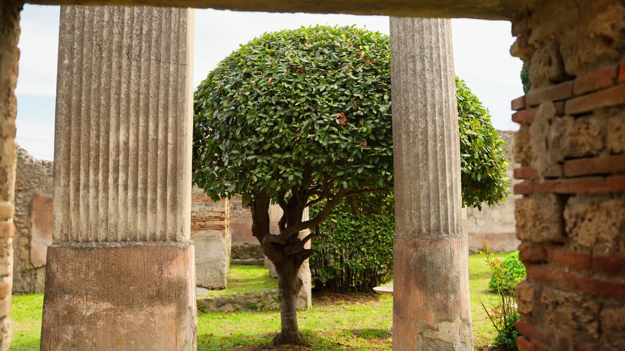 Framed view through a Pompeii doorway toward fluted Roman columns and a manicured tree, capturing the calm garden atmosphere inside the ancient ruins