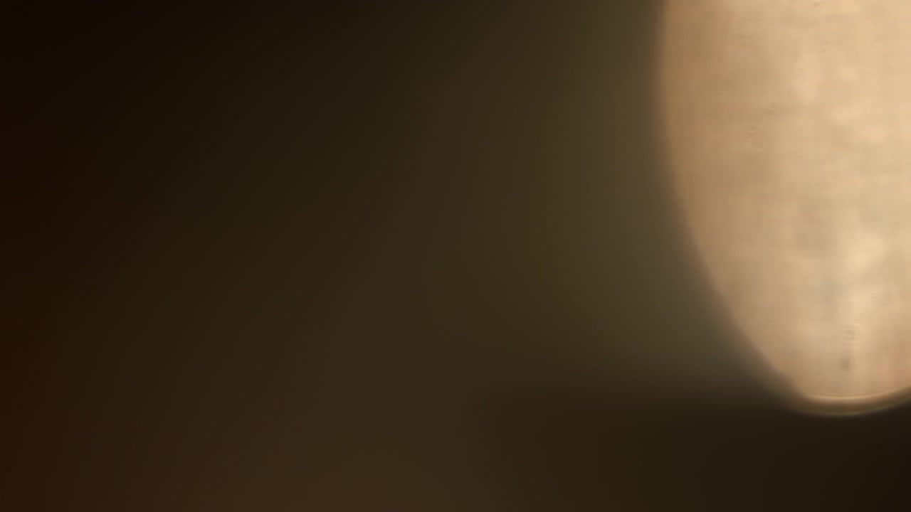 Textura de reflexo de lente orgânico real e cintilante Bokeh em fundo preto. Use o modo de mesclagem tela, adicionar, sobrepor em filmagem para textura gráfica. 4K