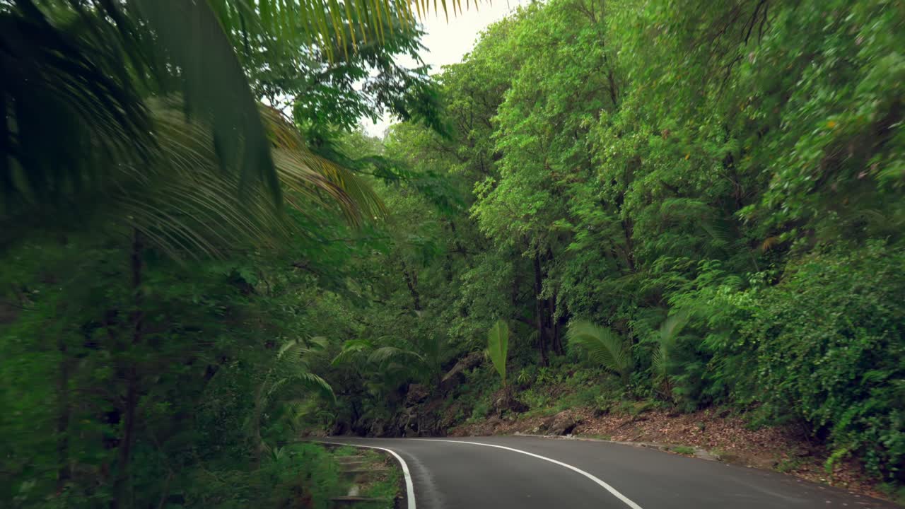 mahe seychelles, una conducción increíble en un lugar aislado, conducir entre árboles y rocas con caídas en la carretera sin rieles