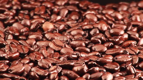 coffee beans 5