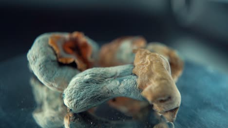 A-Macro-cinematic-shot-of-a-3-magical-psychoactive-psilocybin-hallucination-dried-mushroom-with-a-yellow-red-cap,-on-a-rotating-reflecting-stand,-studio-lighting,-Full-HD,-slow-motion-120-fps