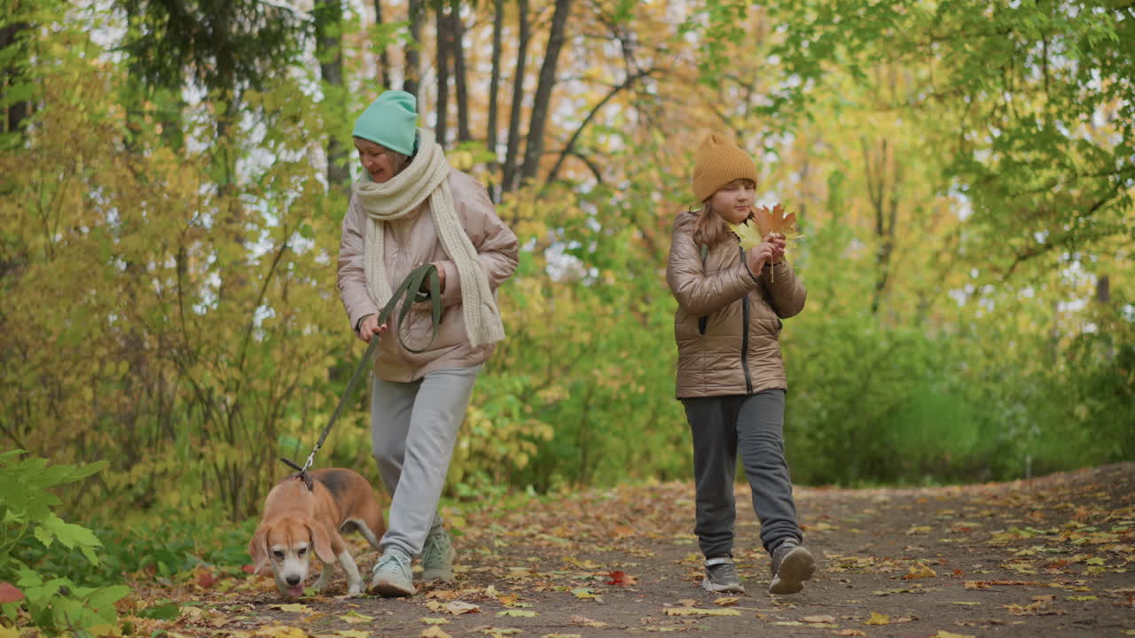 woman hands autumn leaf to smiling daughter as they walk together along vibrant leafy path in tranquil park with dog sniffing ground, sharing lighthearted moment on crisp fall afternoon stroll