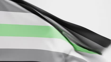 Bandera-Agénero-Ondeando-Contra-El-Fondo-Blanco,-3D-Render