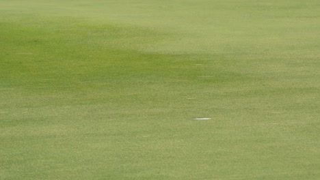 close up golf ball rolling drop into hole