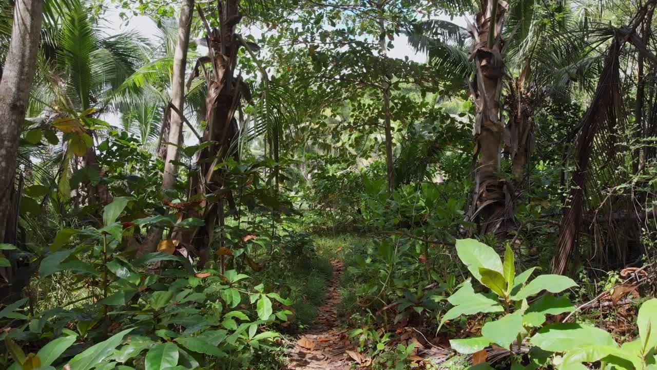 Punto di vista di un'escursione attraverso la giungla accanto alle spiagge bianche di Anse Coco, Petit Anse e Grand Anse a La Digue, Seychelles