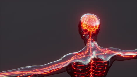 concepto de dolor de cabeza humano cerebro de rayos x brillantes