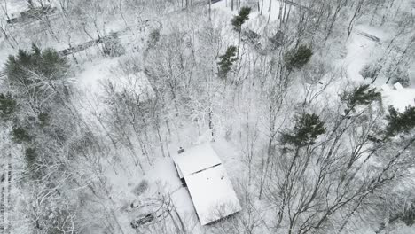 Inclinándose-Hacia-Abajo-Para-Mostrar-La-Cobertura-Completa-De-La-Nieve-Que-Se-Aferra-A-Los-árboles