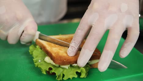 preparing a toasted sandwich