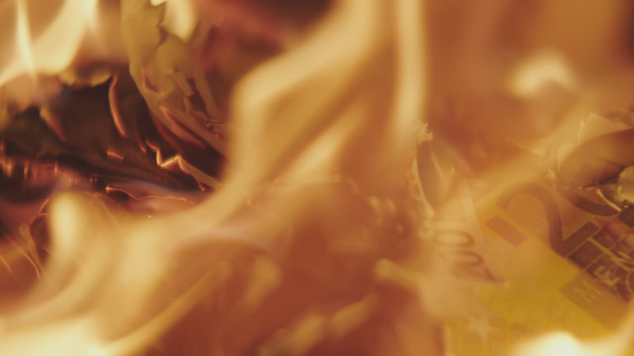 Burning Euro Banknotes