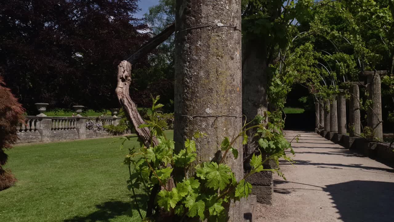 당당한 집 정원에서의 하루