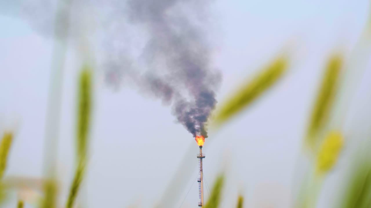 운영 중인 석유 정제 공장 타워, 불꽃과 어두운 연기를 방출, 밀  ⁇ 을 통해  ⁇