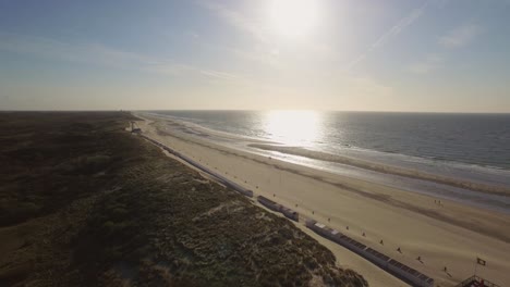 antena: la reserva natural de dunas de oostkapelle con potros pastando