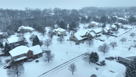 aerial shot of mansions in winter