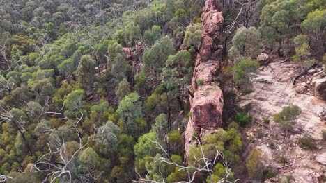 drone camera glides above a rugged sandstone ridge surrounded by dense eucalyptus forest in warrumbungle national park, under soft natural daylight