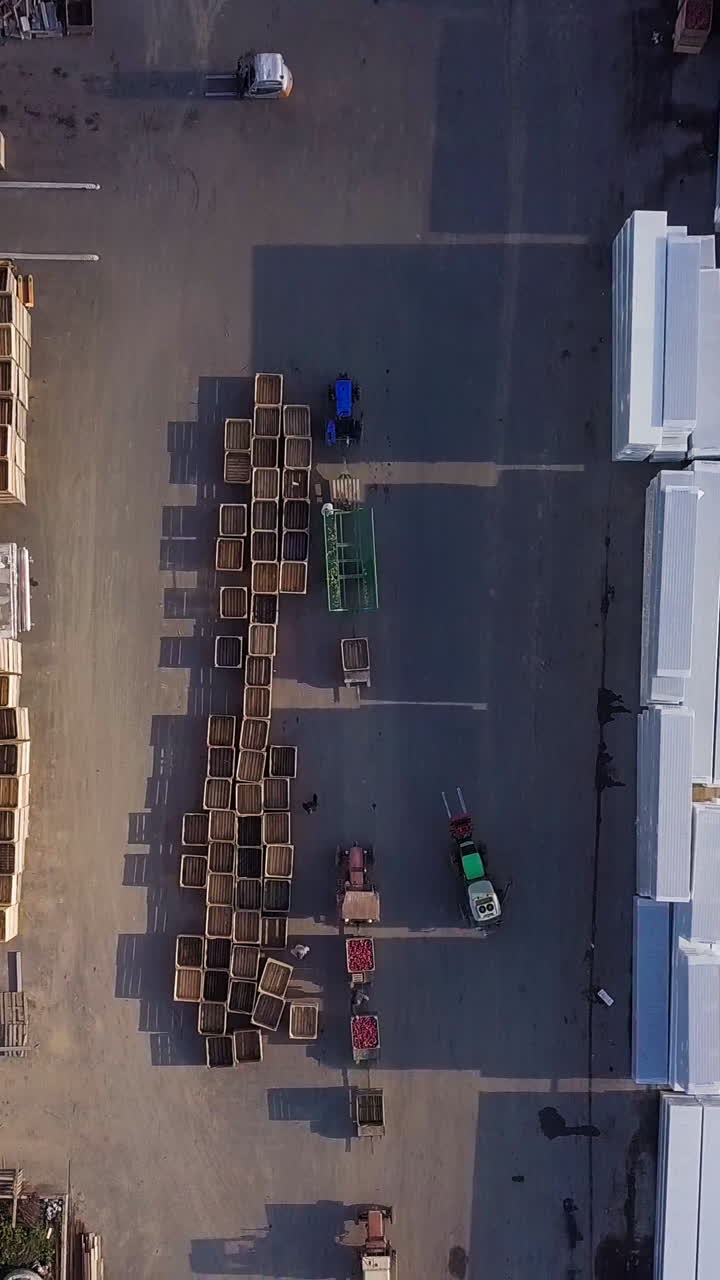 two loaders are transporting pallets with apples in the warehouse for the subsequent transportation of apples to the factory. Aerial view Vertical video