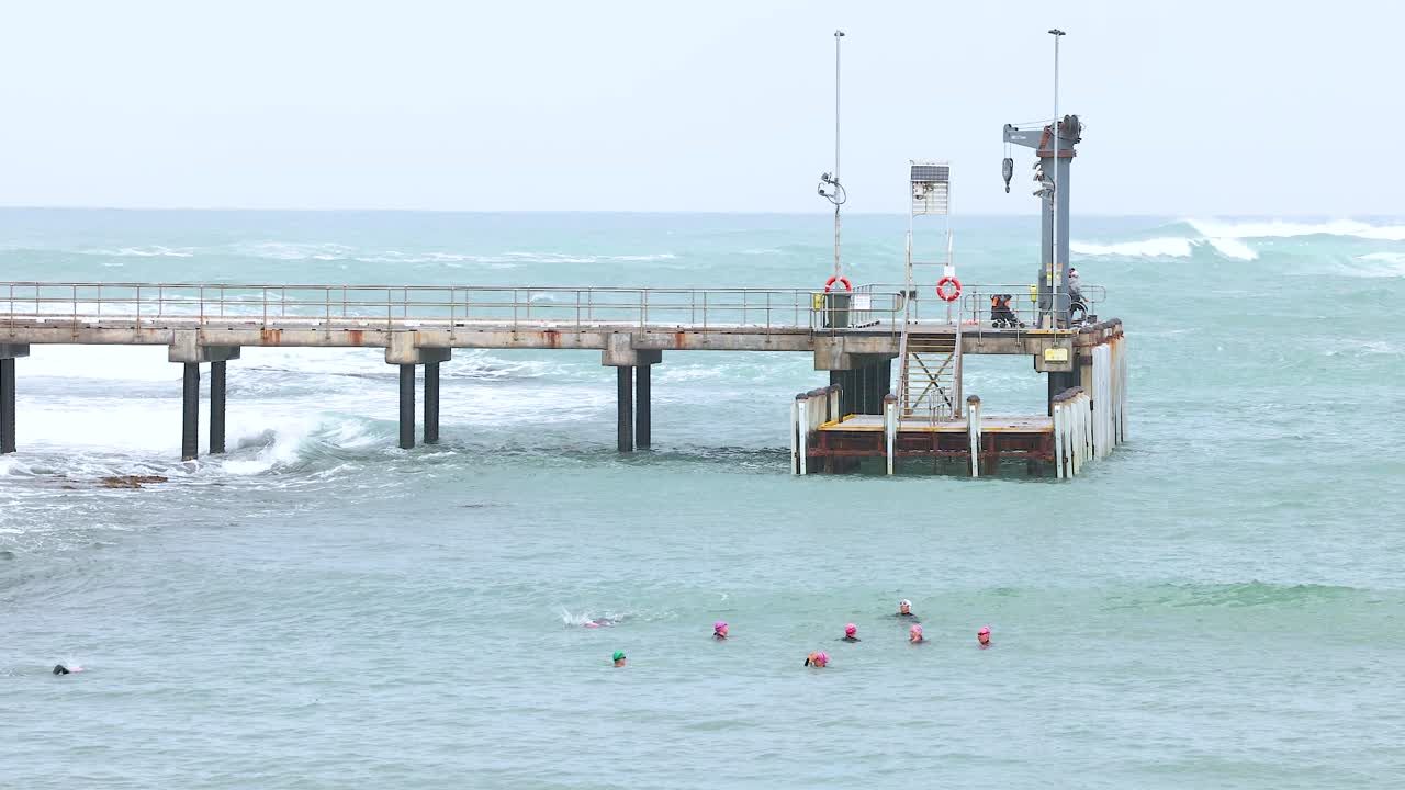 Swimmers in bright caps navigate waves near a pier at Port Campbell. Overcast lighting and steady camera capture the dynamic ocean scene