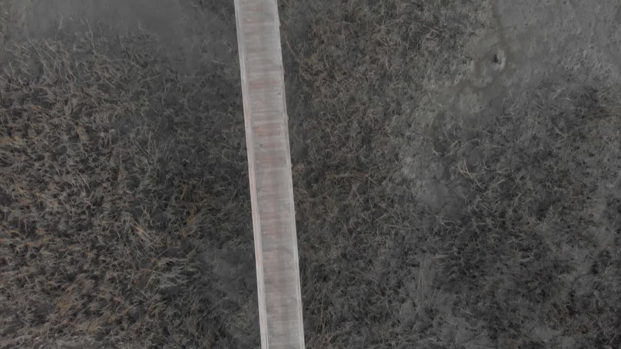 찰스턴 염습지를 가로지르는 긴 도크 다리