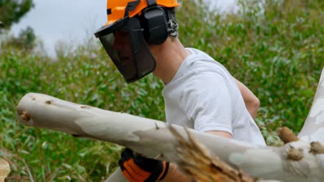 lumberjack working in the forest 4k