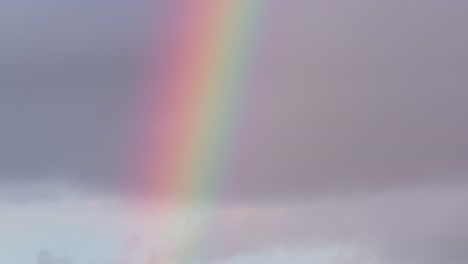 closeup rainbow down tilt view to the blue clouds just after rain