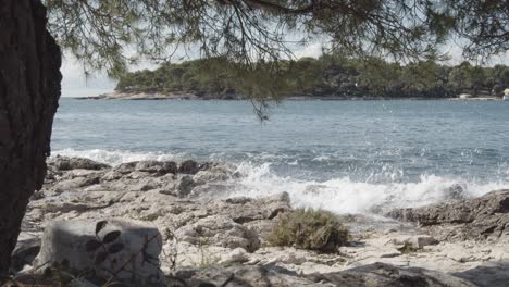 Fir-tree,rocky-shore-with-stones-and-breaking-water-waves-from-the-ocean-during-sunny-day-in-Croatia