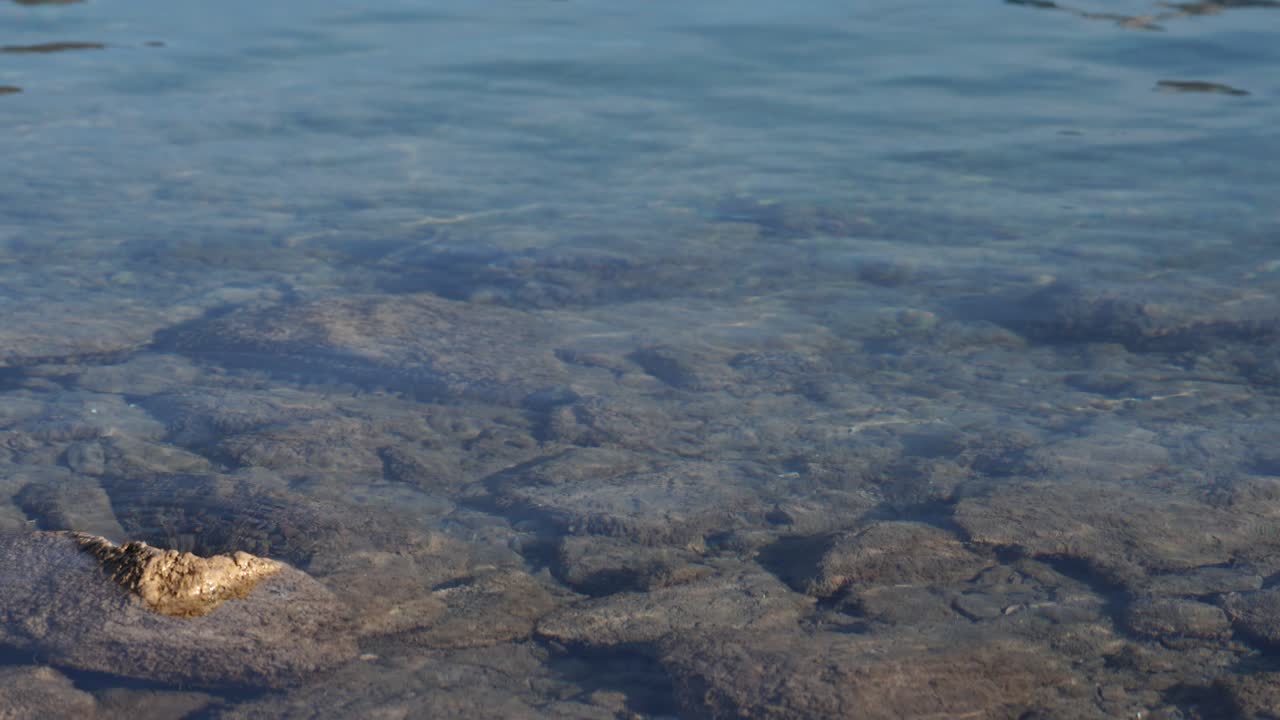 A serene close-up of Lake Walensee's shoreline. Transparent water gently ripples over smooth rocks, showcasing the pristine natural purity of the Swiss Alps