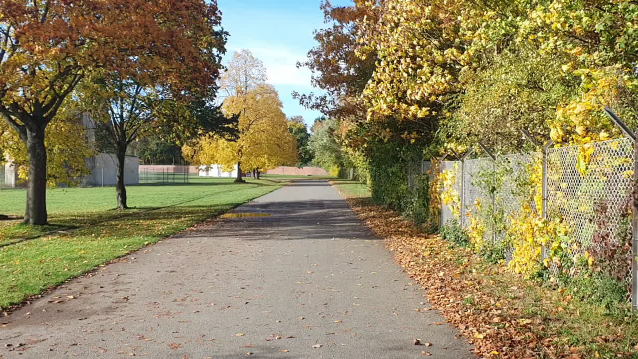 Viaggio in avanti su una piccola strada in un parco di Berlino in autunno, HD 30 FPS 5 sec