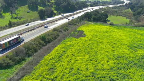 California-wildflowers-along-the-101-highway-|-Aerial-flyby