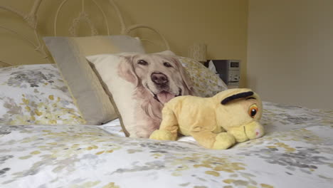 cuddly toy and dog pillow on top of a bed