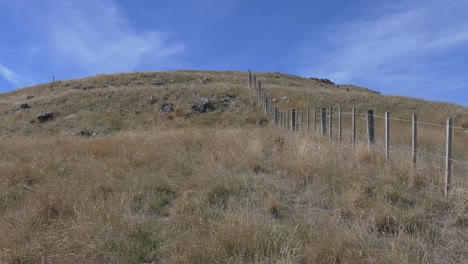 Steep-uphill-walk-through-long-golden-grass-in-summertime---Breeze-Col,-Banks-Peninsula