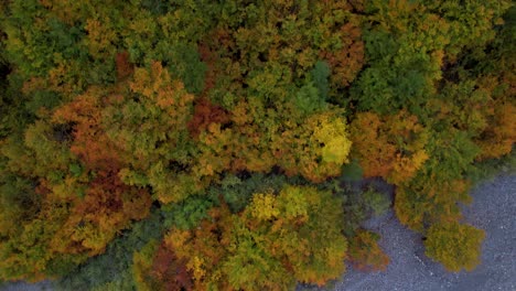 Colores-Otoñales-De-árboles-Forestales-Cerca-De-Un-Lecho-De-Río-En-El-Valle-De-Los-Alpes-En-Albania,-Tiro-Aéreo