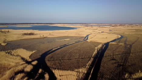 vista aérea del lago cubierto de juncos marrones, parque natural del lago pape, rucava, letonia, soleado día de primavera, gran angular descendente con drones