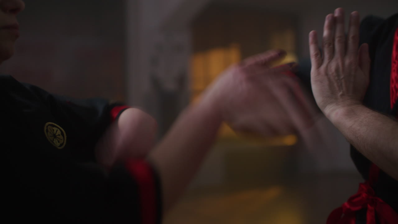 Kung Fu Training Session