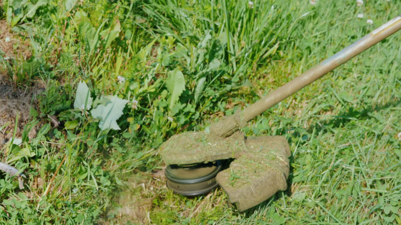 트리머 헤드는 회전 라인 클로즈업 샷으로 잔디를 깎습니다.