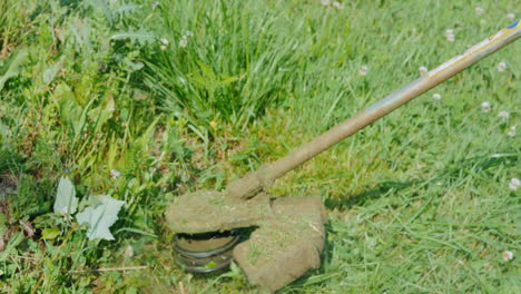 trimmer head mows grass with a rotating line close-up shot