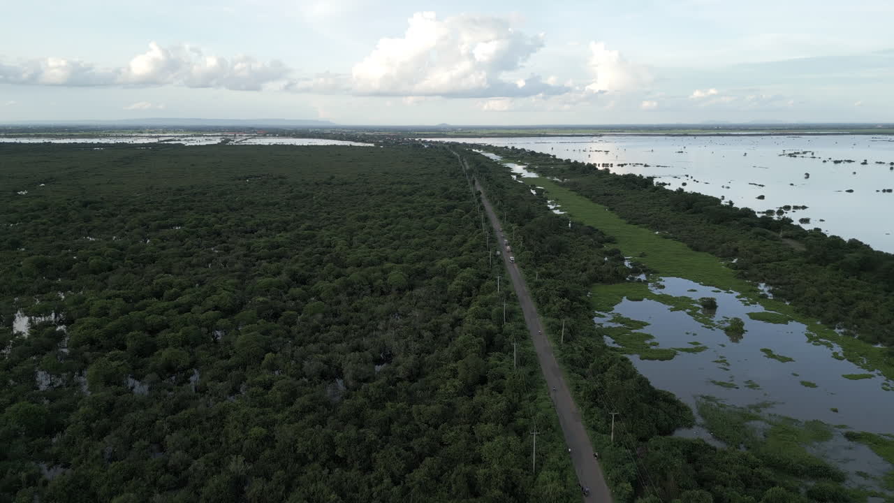 Aerial video shows a long road cutting through dense green forest and wetlands, stretching toward the horizon of Tonlé Sap