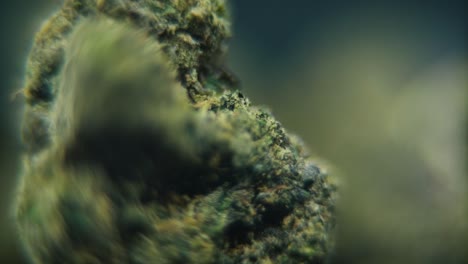 macro rotativo video suave de una planta de cannabis, cepas híbridas, roca sativa, flor de marihuana, cámara lenta 120 fps, iluminación de estudio, profundidad de campo de ensueño