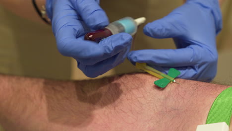 doctor drawing blood to patient arm with butterfly needle and tubes