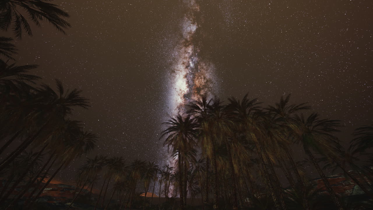 The Milky Way rises over plam trees